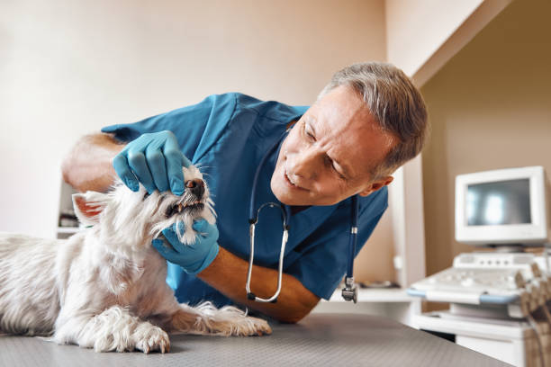 Best Walk-In Emergency Dental Services in Carrizo Springs, TX